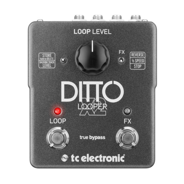 Ditto Ditto